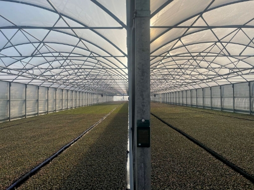 Poza cu FOLIE PLASTIKA KRITIS IN 8 STRATURI EVO 7504 AC, CRYSTAL CLEAR