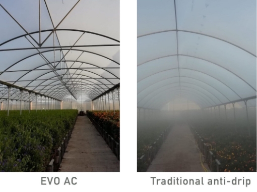 Poza cu FOLIE PLASTIKA KRITIS KRITIFIL®️ 2996 Crystal Clear