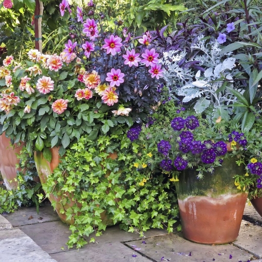 Poza cu Kit irigare pentru 30 ghivece