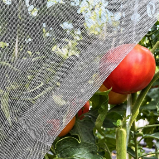 Poza cu Plasa anti insecte alba ECO 1.5m x 50 m